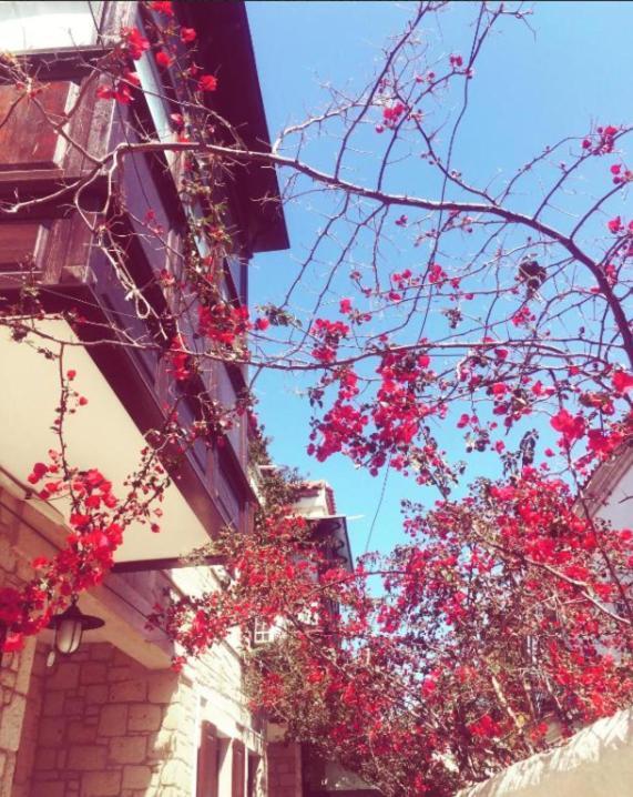 Alayaz Hotel Alaçatı Eksteriør billede