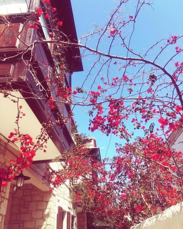 Alayaz Hotel Alaçatı Eksteriør billede